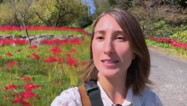 Вика (Тори-чан) Япония -Октябрьские дни в Японии Период почитания предков и сбора урожая 12.10.2025