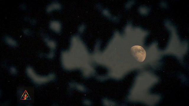 PF style MEDITATION - Rest Completely With A Sense of Infinite Peace