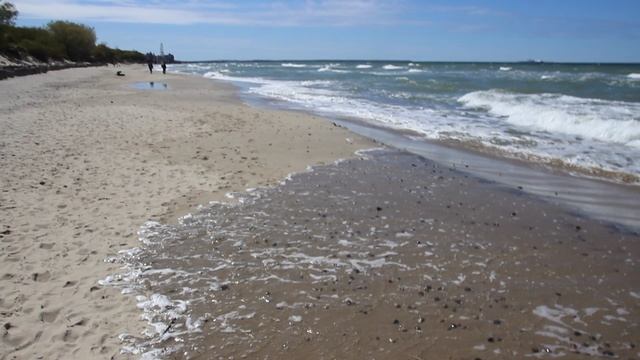 Уникальные  места России. Куршская коса!