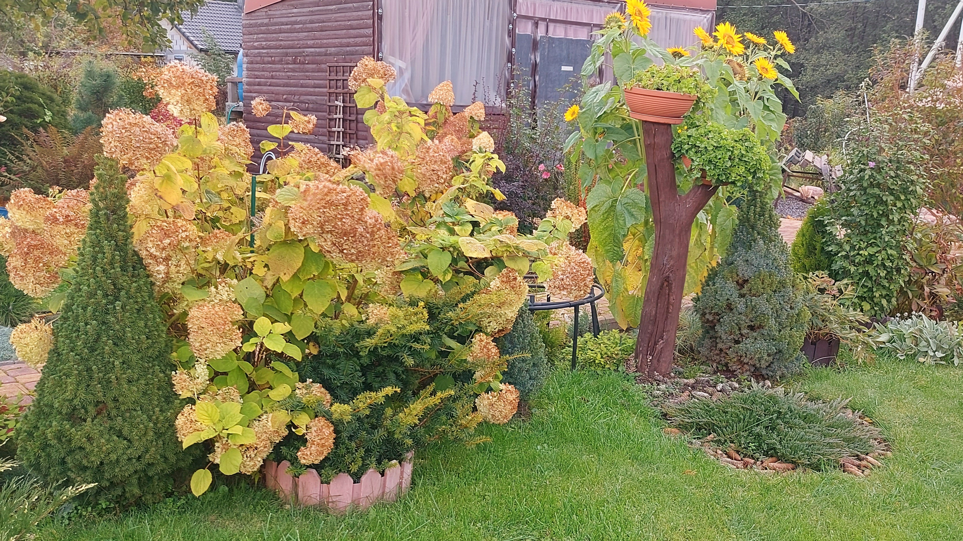 Октябрь🍁🌤.Работы на даче еще хватает. Обрезаем. Сажаем.🍂🍁