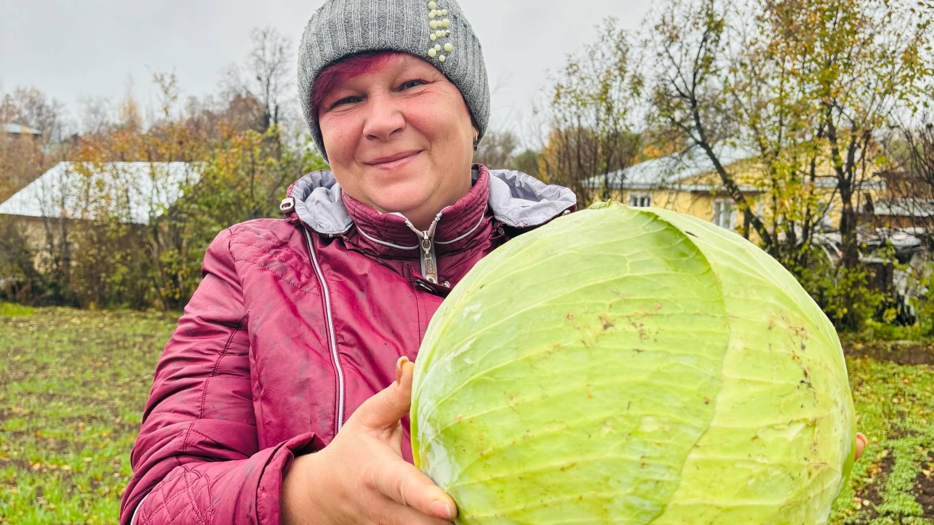 Шикарный Урожай КАПУСТЫ без особых хлопот!!!
