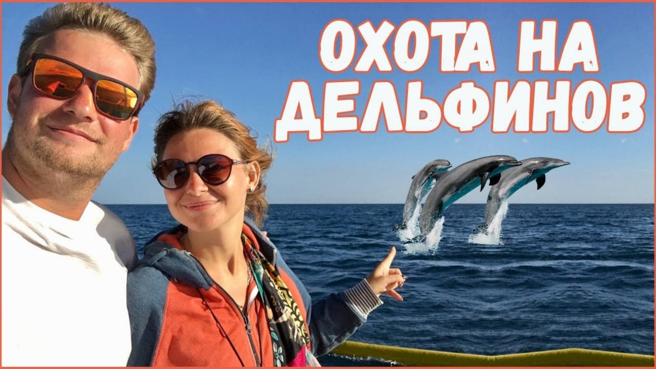 Бали. Охота за дельфинами. Дельфины на Бали