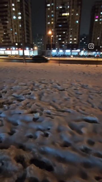 Снежный покров 2025