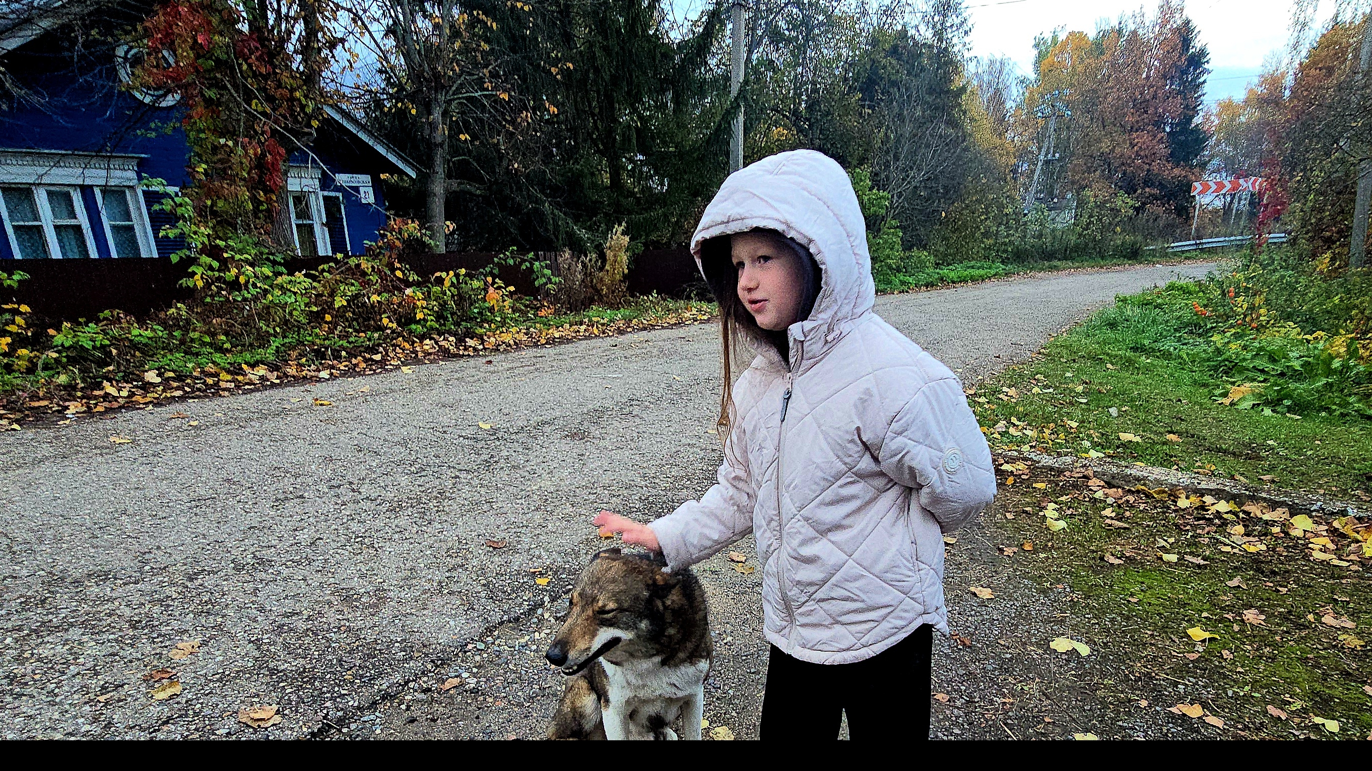 Лайки с ребёнком