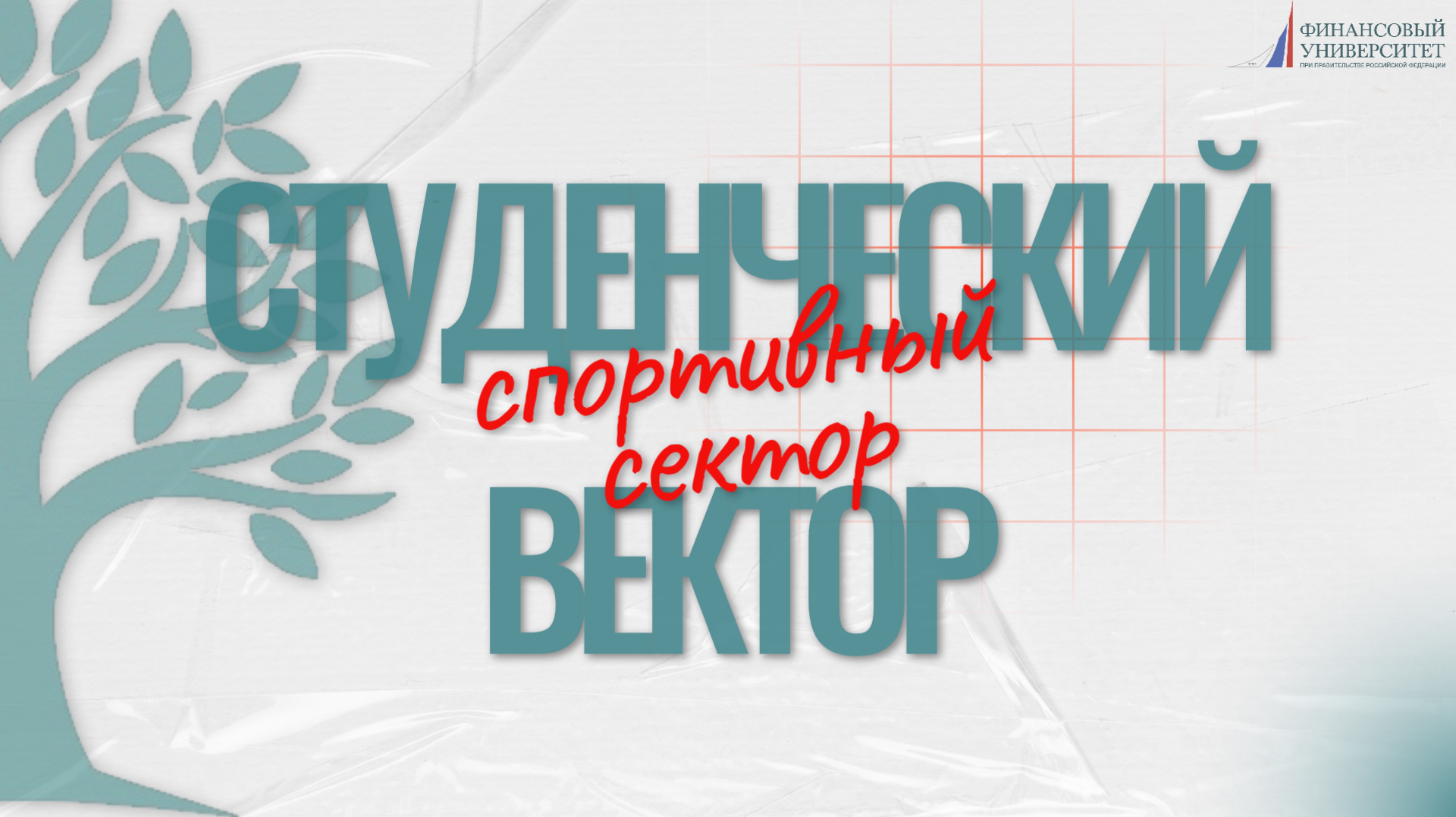 Студенческий вектор|Про наш спортивный сектор