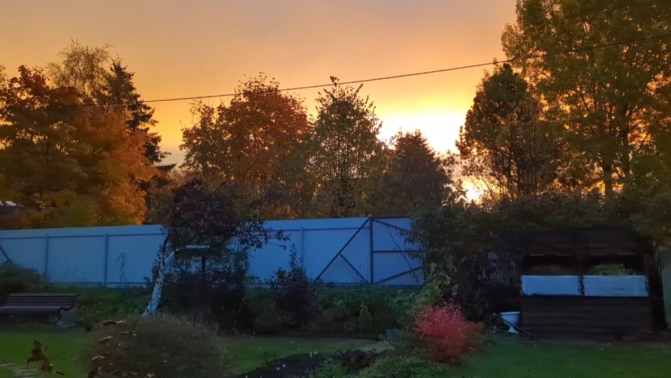 17-10-2025.Дача.Красивый красный рассвет..Новые саженцы с названиями!(11.-12.10.25)