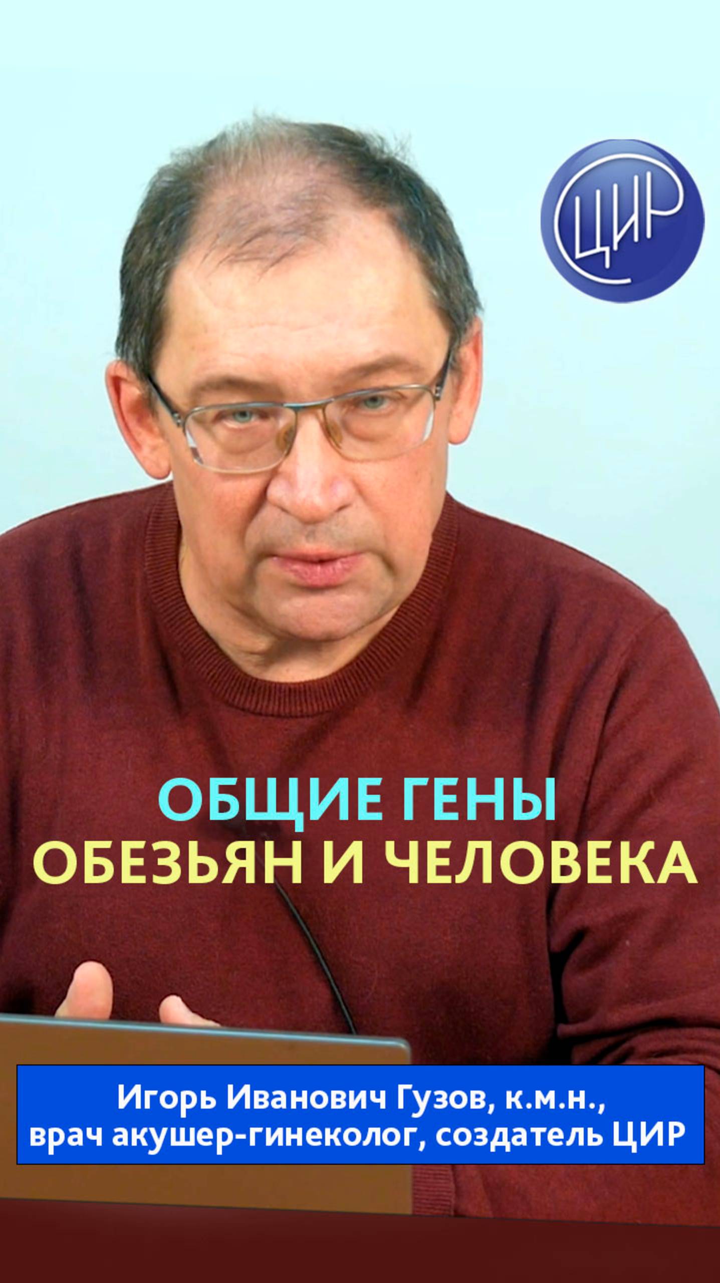 Группы С1 и С2 - гены обезьян в геноме человека
