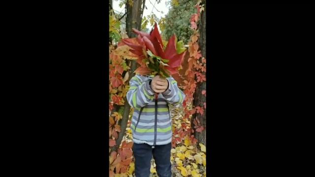 онлайн-конкурс  «Осенняя  поэзия»
Зиновьев  Данил, группа  7 «Солнышко»