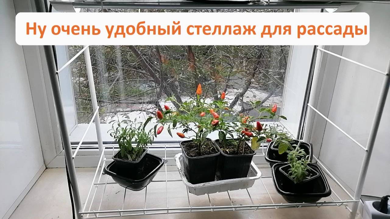 Стеллаж для рассады. Критерии выбора.