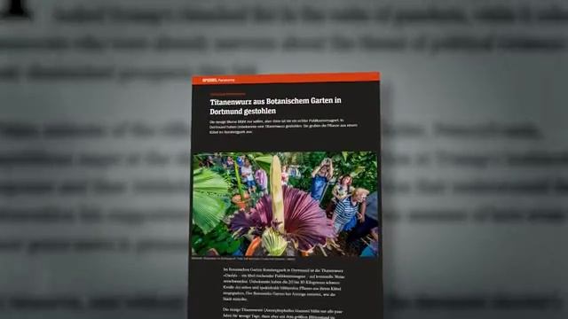 В Германии происходит нечто. Облавы и рейды в Берлине