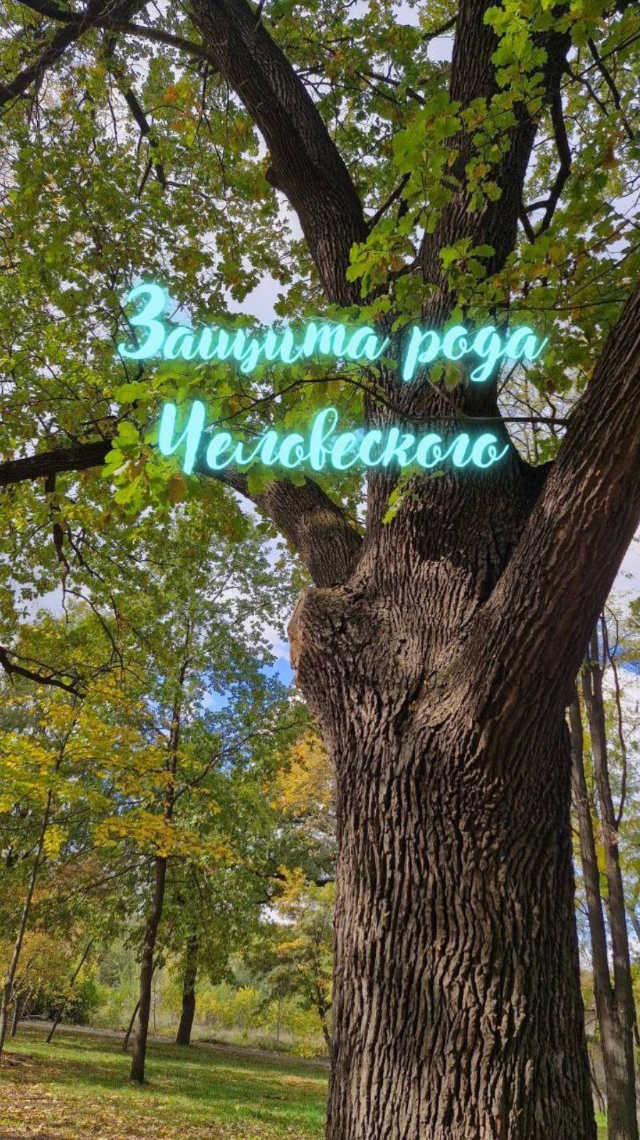 Защита рода человеческого. Энергоработа ВселеннаяЯ #вселеннаяя, #пробуждение,  #новаяреальность