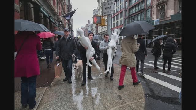 Знакомство с творчеством Ронен Берка