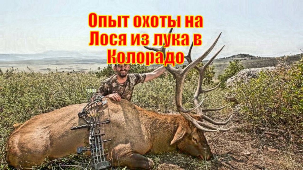 Опыт охоты на Лося из лука в Колорадо