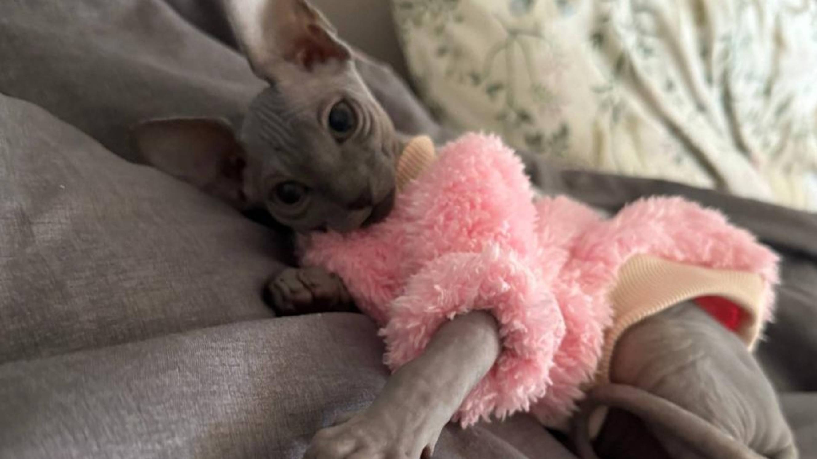 Ты что меня снимаешь???