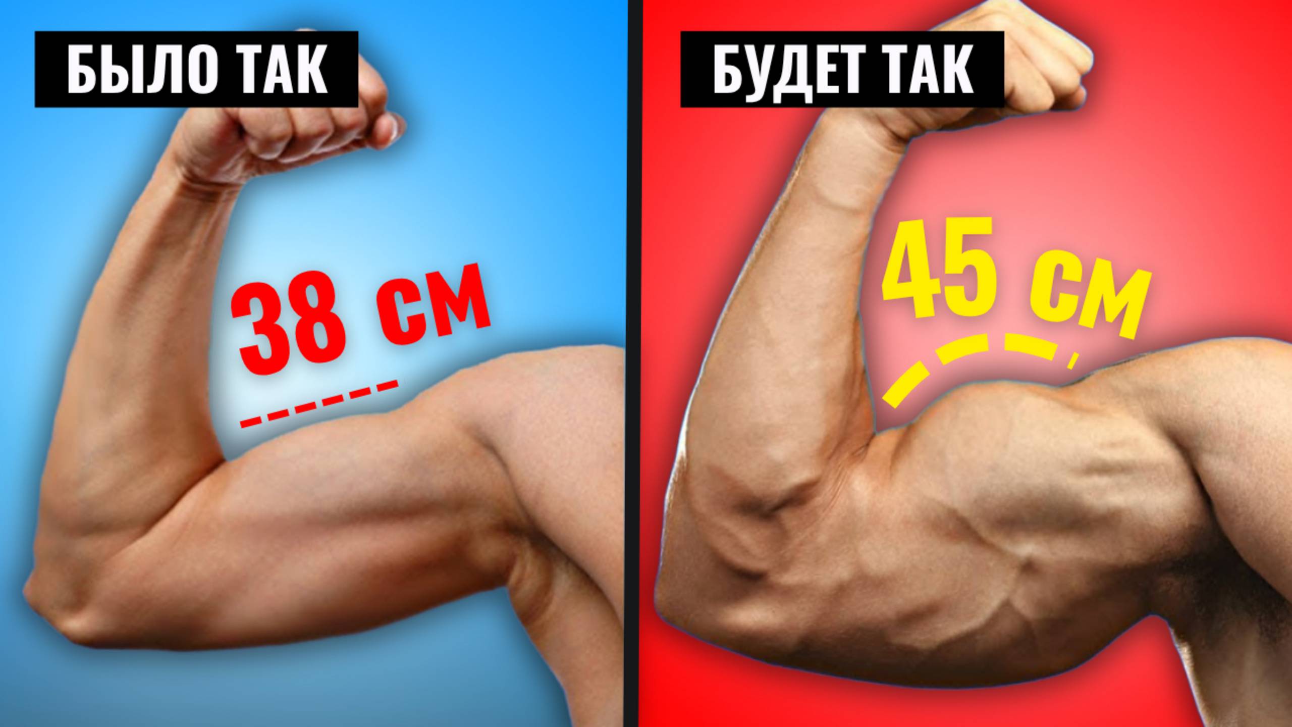4 причины почему Бицепс и Трицепс не Растет: Как сделать руки по 45 см