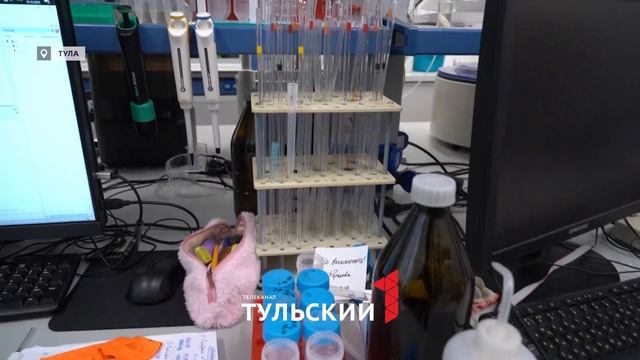 Ученые из Тулы научили гаджет определять фальсификат молока и вина