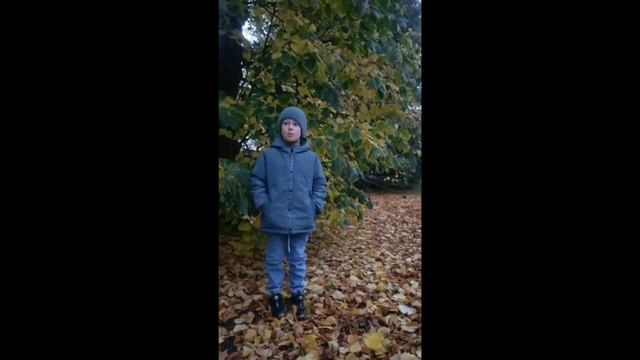 онлайн-конкурс «Осенняя поэзия» Макаров  Никита, группа 5 «Светлячок»