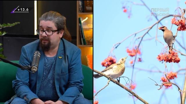 Великие миграции в мире животных. Интервью с биологом.