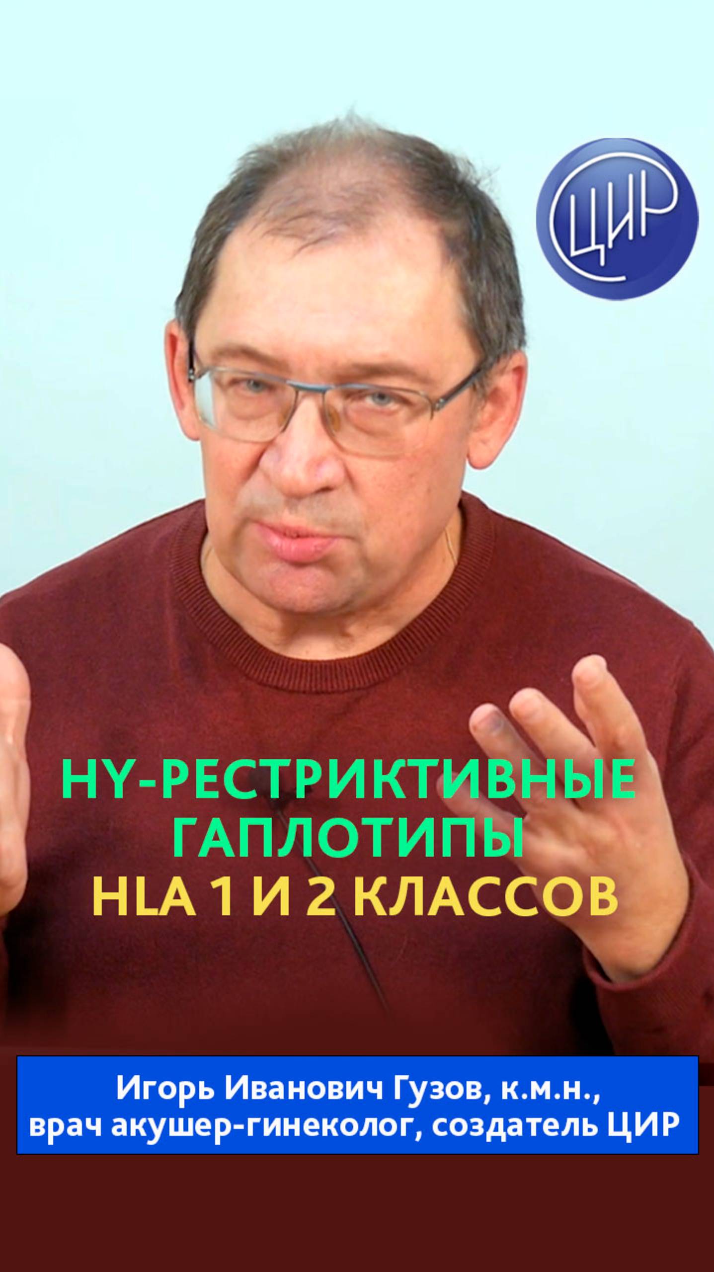 HY-рестриктивные аллели по антигенам HLA первого и второго классов. И.И. Гузов