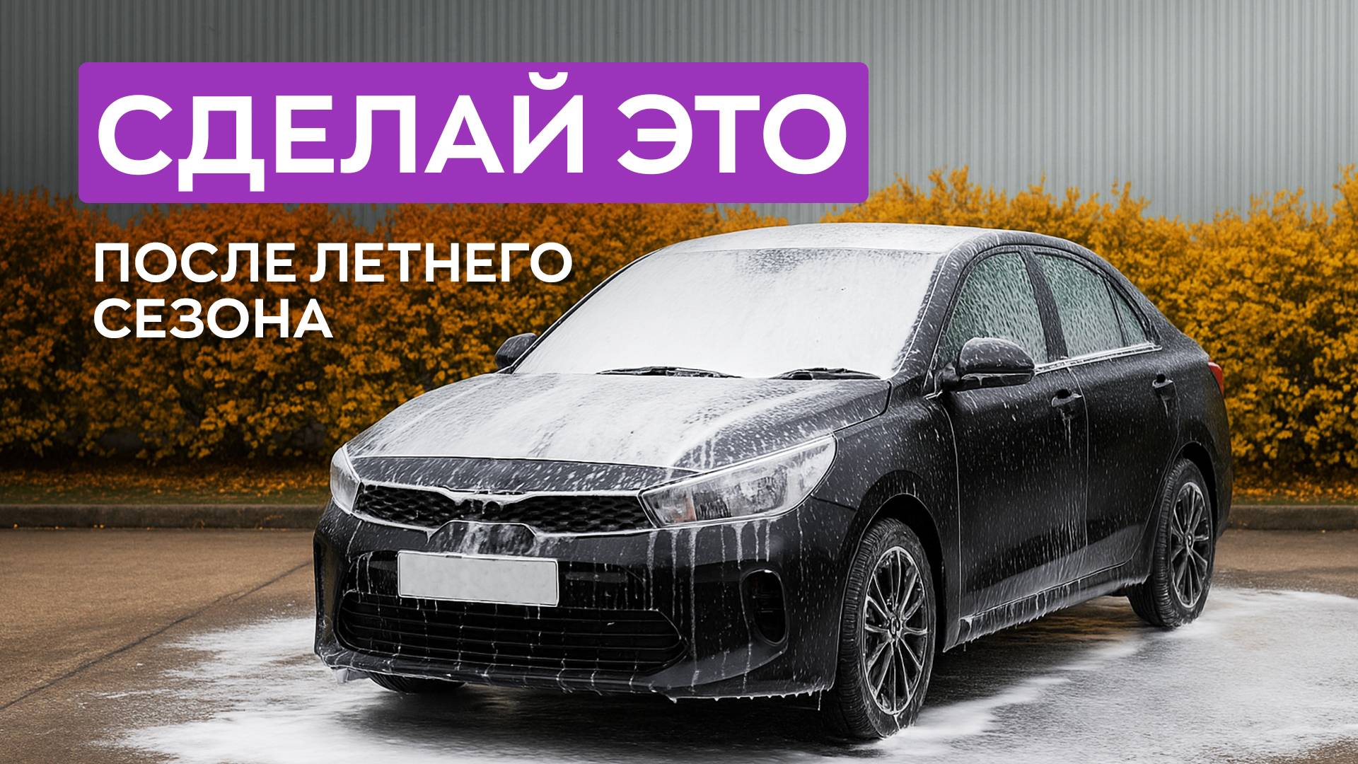 Обязательные детейлинг процедуры после летнего сезона!
