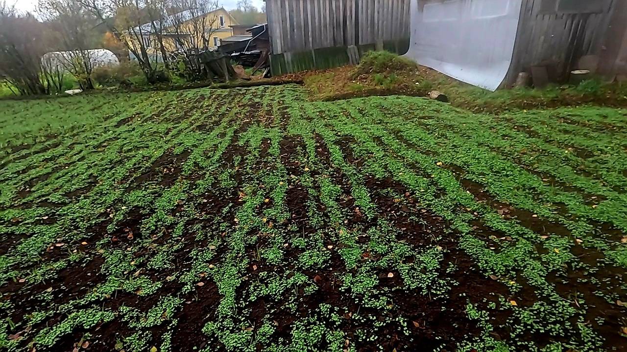 Перенервничала конечно... Даже заглядывать туда не хочу..