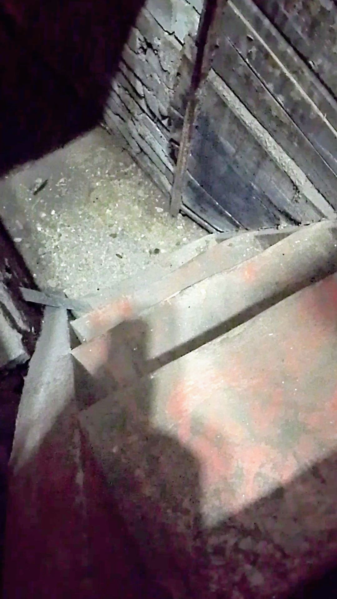 Нашествие крыс! Впервые! А ведь в подполье, все запасы!😩  Мыши ушли!👻 #крысы #животные #ужас