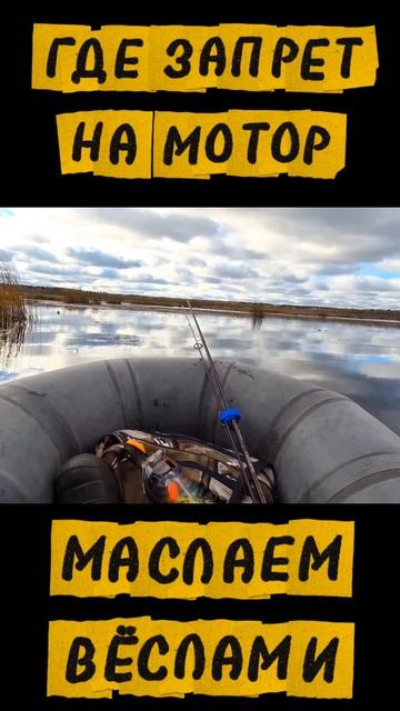 Маслаю вёслами