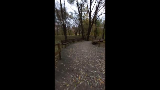 Очень короткая экотропа в Леоновском парке (Москва)