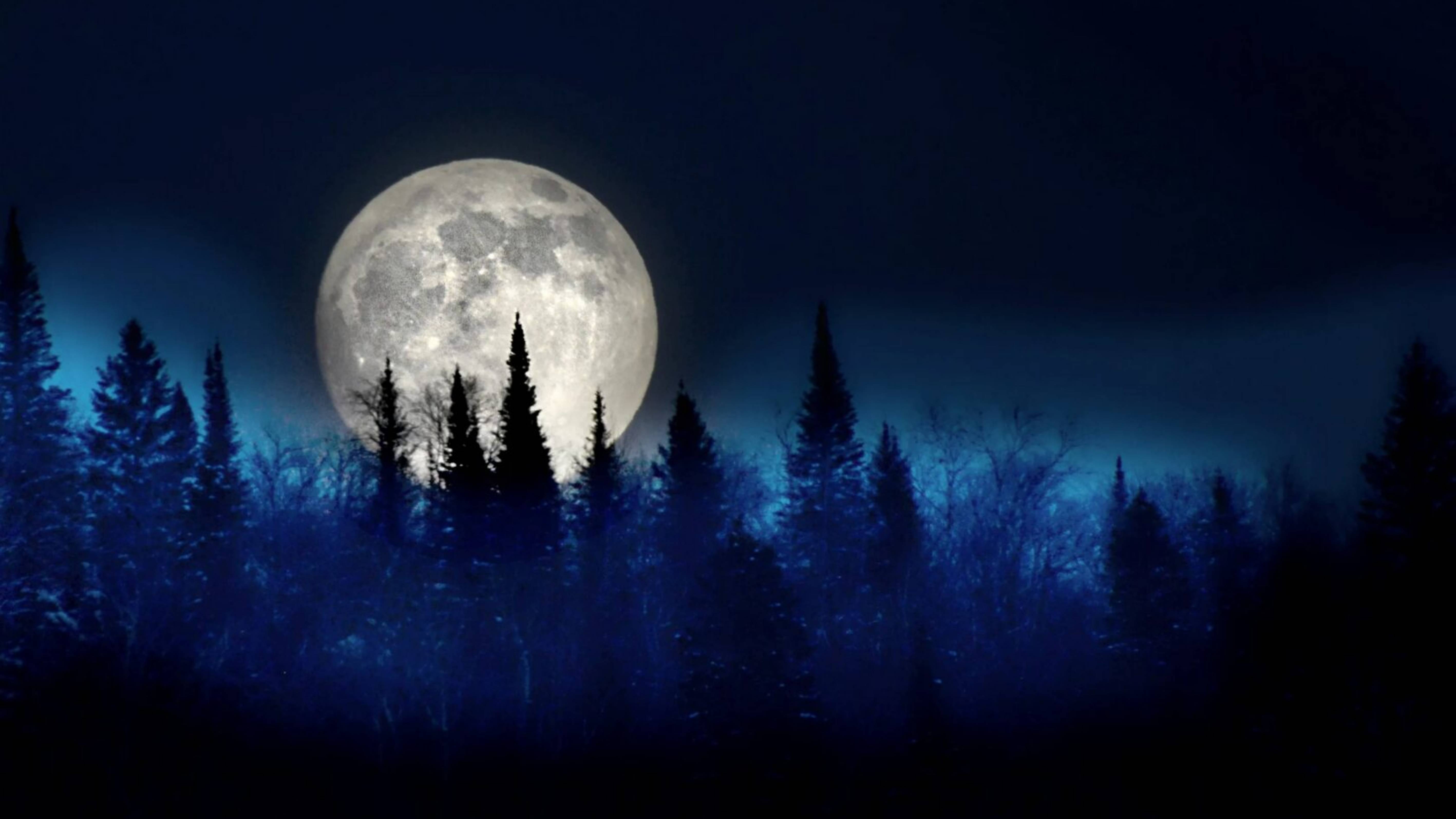 Звуки природы. Природа, ночь, сверчки, сова издает звуки. Почувствуйте гармонию с природой