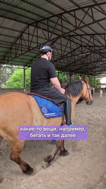 Отзыв об иппотерапии от Даниила Голубкова