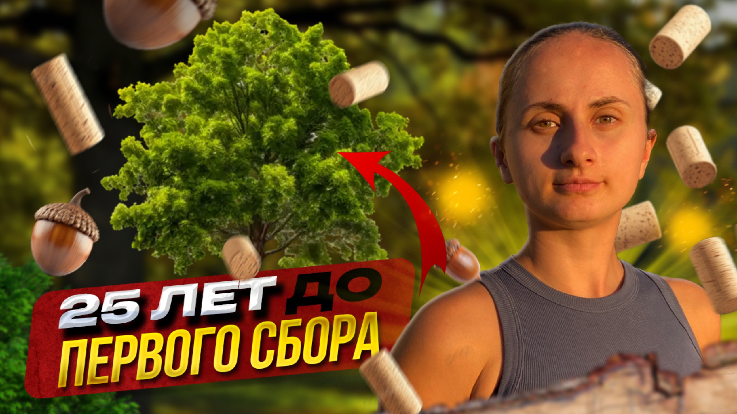 🌳ПРОБКОВЫЙ ДУБ. Живое Сокровище Португалии 🇵🇹