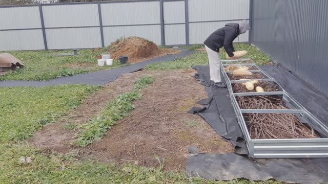 Дневник за 16.10.25 год: всякое разное из дома. Выбросила кабачки