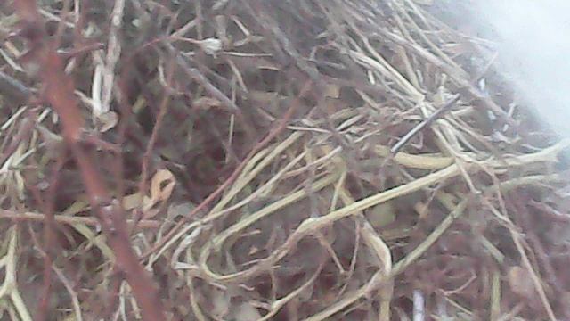 Орошение второй компостной кучи