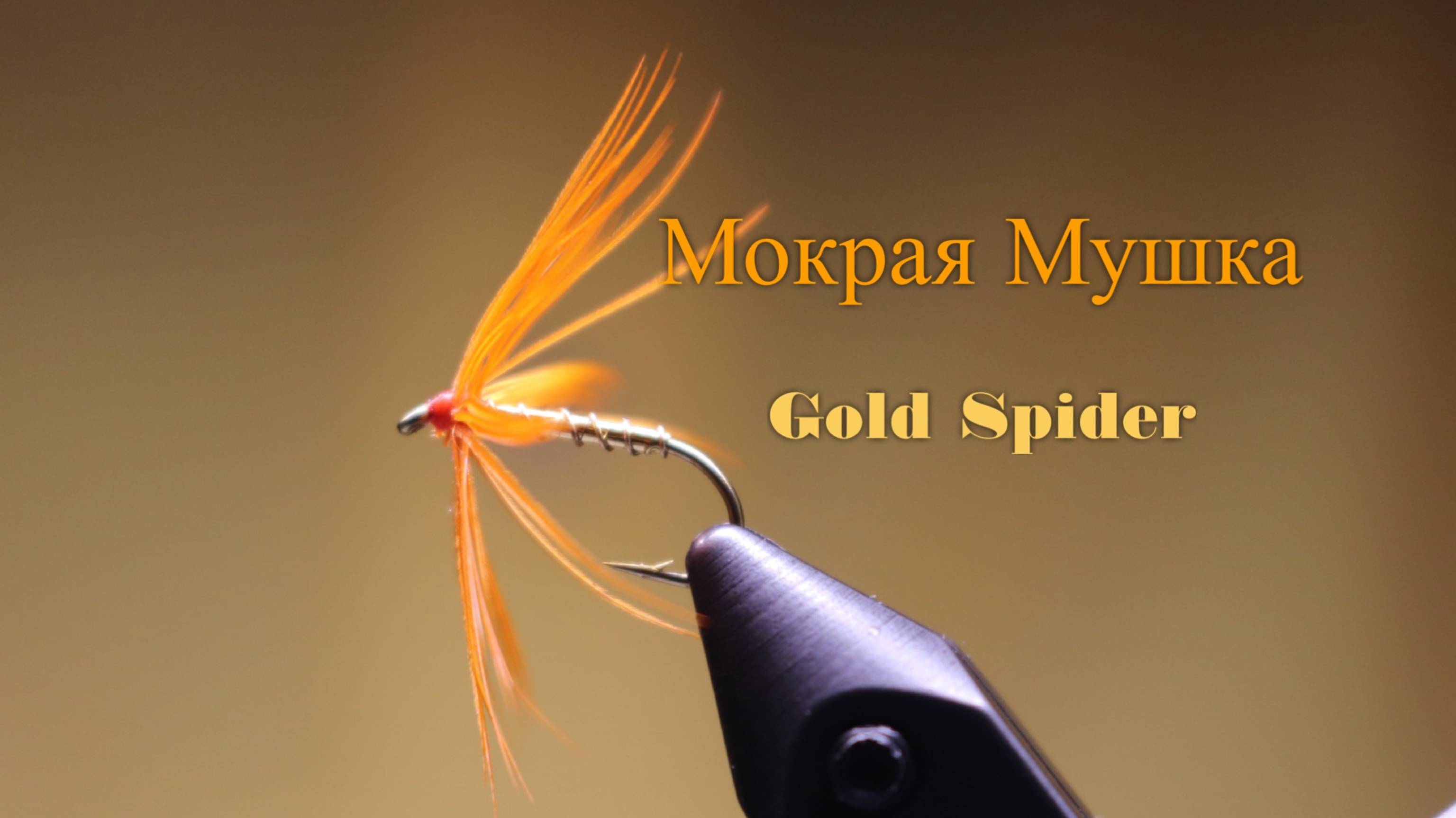 Мокрая Мушка Gold Spider Как связать от GM FLY
