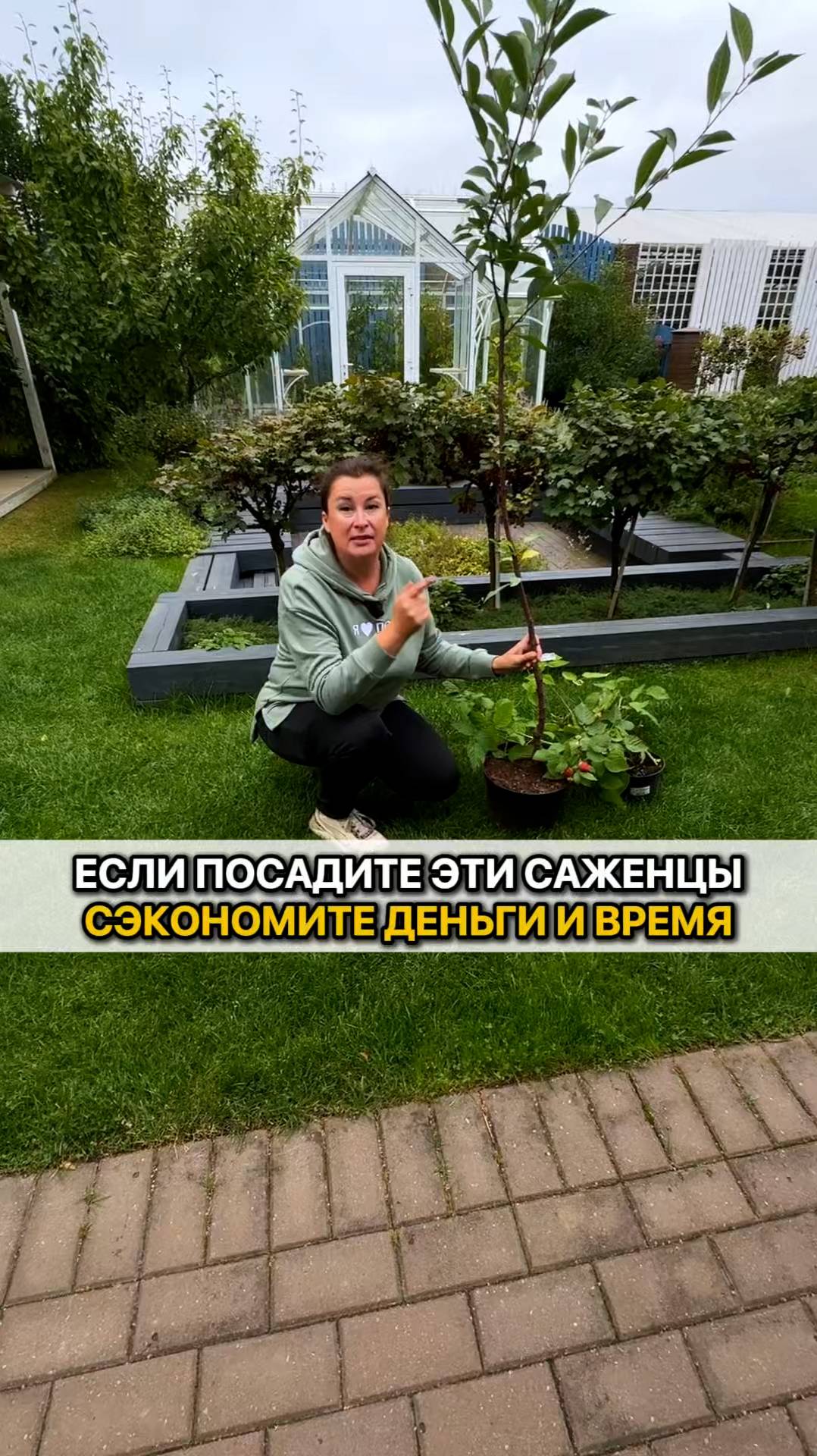 Посадите ЭТИ саженцы осенью!