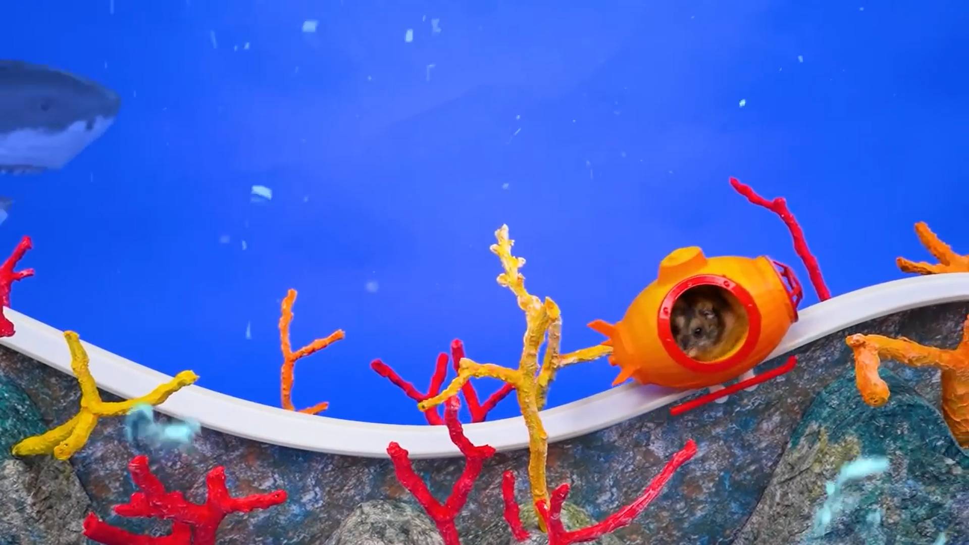 🐹Милый Хомячок на Подводных Американских горках🔥