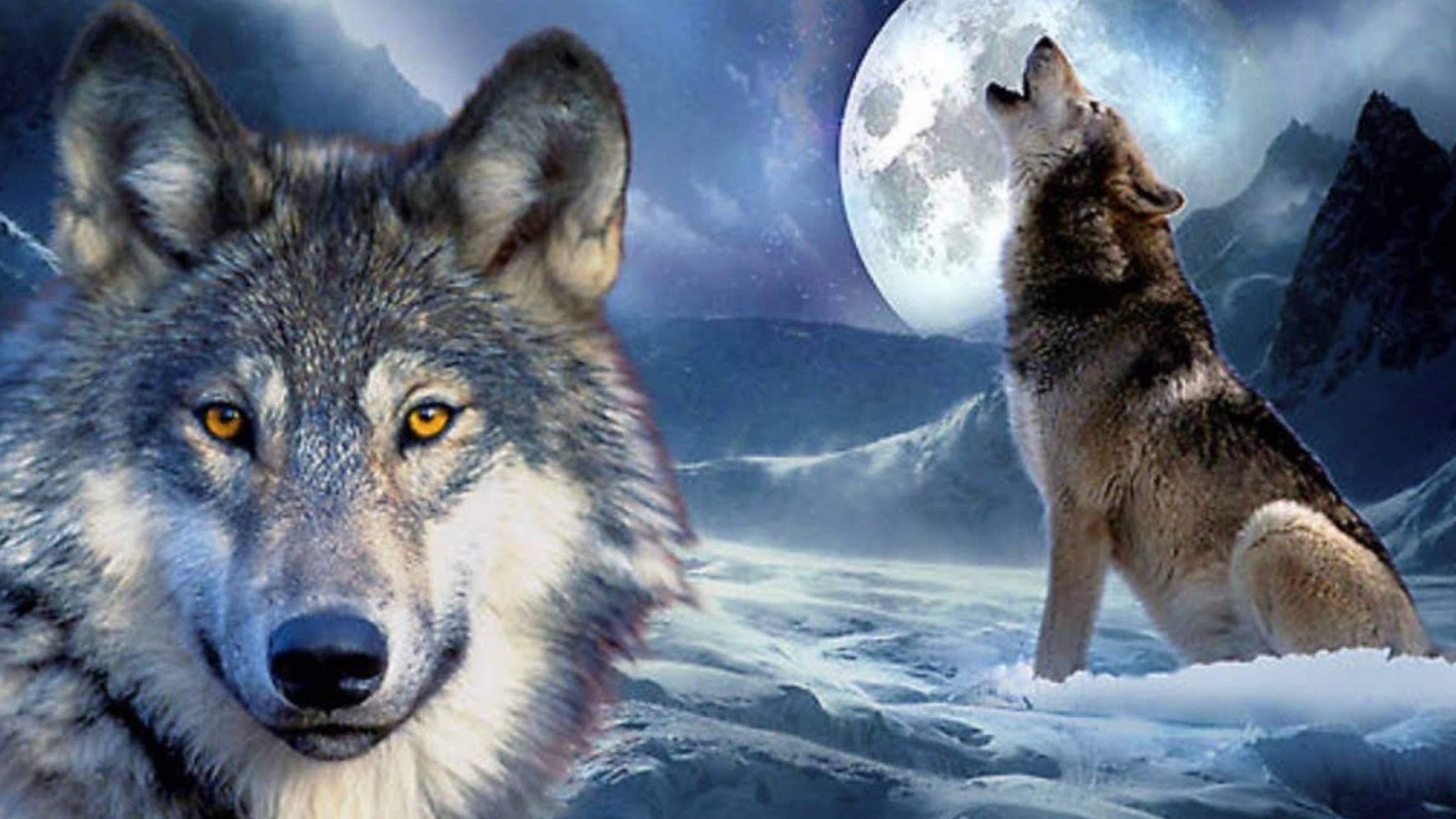 ДОБРО НАКАЗУЕМО...реальная история...