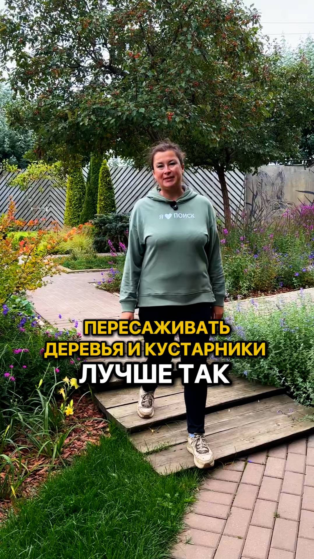 Пересаживать деревья и кустарники ЛУЧШЕ ТАК!