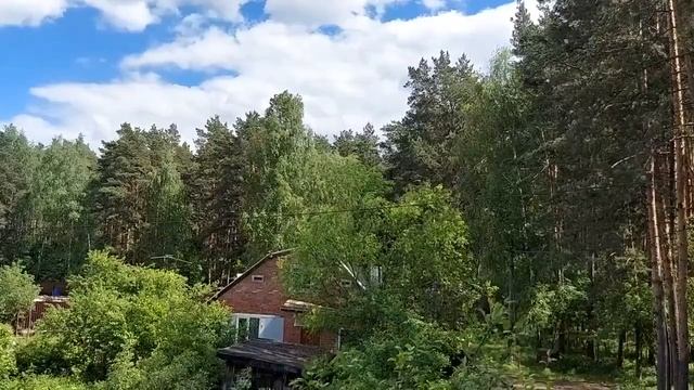 ЗИМРУД КУШ ИСПОЛНИТ ЖЕЛАНИЕ