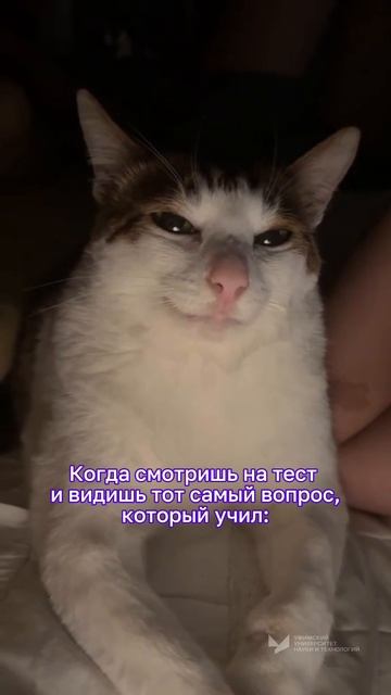 Когда смотришь на тест и видишь тот самый вопрос