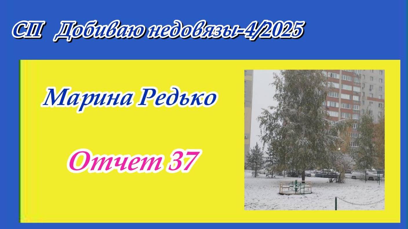 СП "Добиваю недовязы/4-2025" / Отчет 37