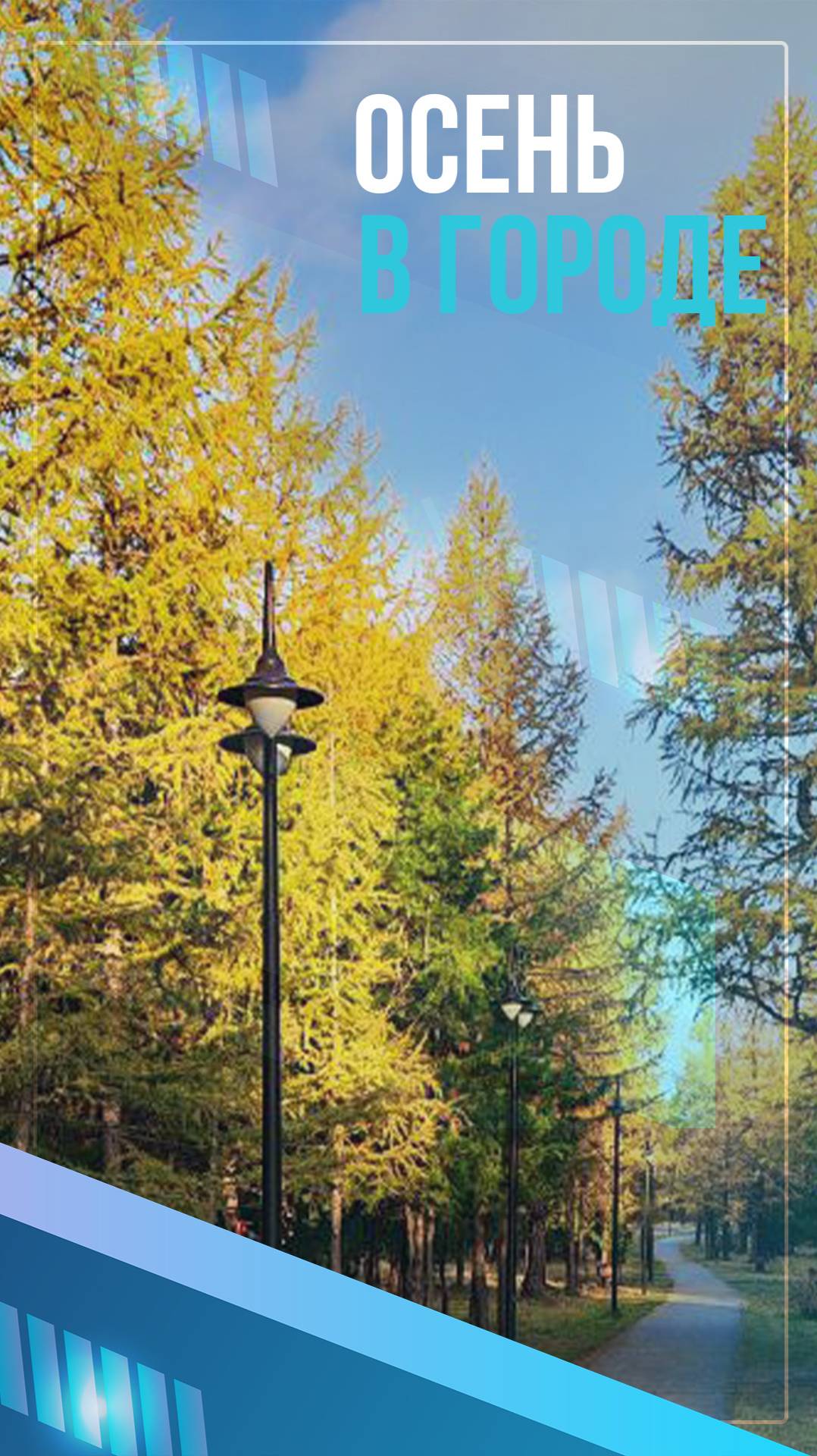 Осень в городе