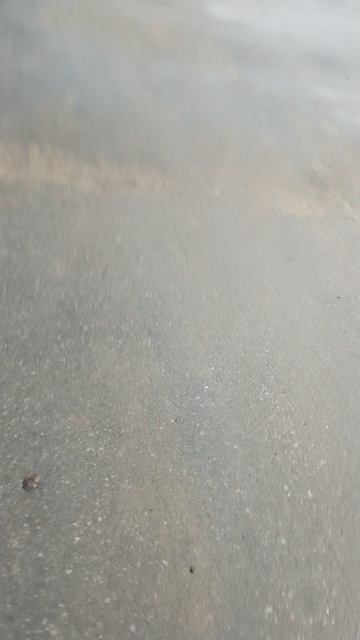 Very Nordic Ninja 'LavinA' - Leaves (17.10.2025) Крайне Северный Ниндзя 'ЛавинА' - Листья #NinjaLive