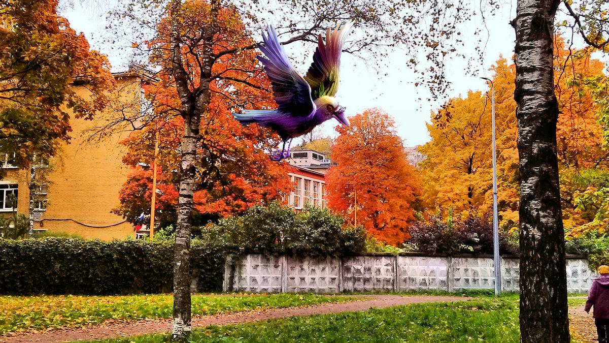 Городская ворона