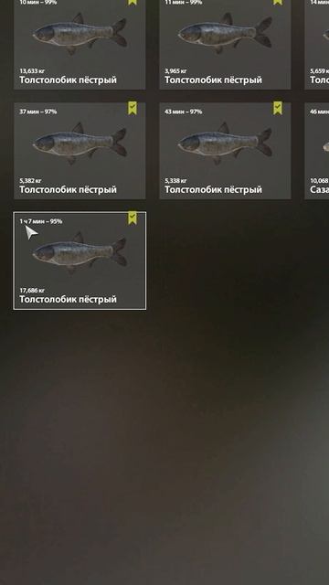 Раздача толстолобиков на Суре