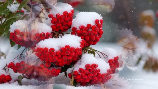 Начало зимы....  Песня на стихи Татьяны Силютиной