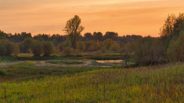 "РИХАРД ШТРАУС В КОРЯЖМЕ"... (Фото Сергея ОГАРКОВА (Коряжма), музыка - "ТАК ГОВОРИЛ ЗАРАТУСТРА")