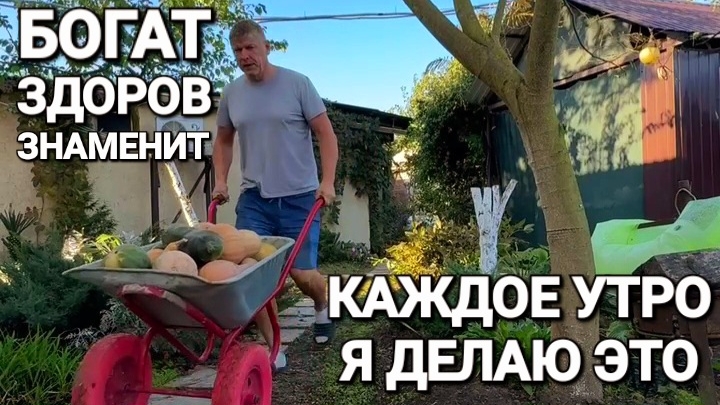 Каждое утро я делаю это и теперь я здоров, богат и знаменит. Счастливая жизнь в деревне у моря