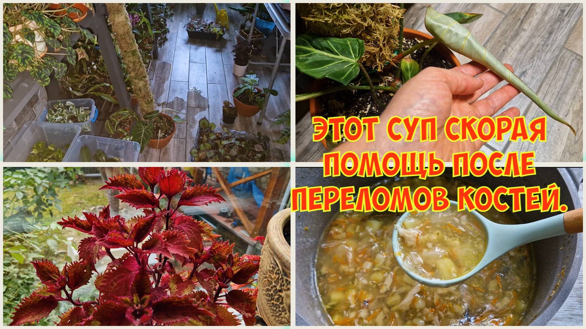 День пошел не по плану. Потоп и замыкание в оранжерее. Ищу и устраняю причину.