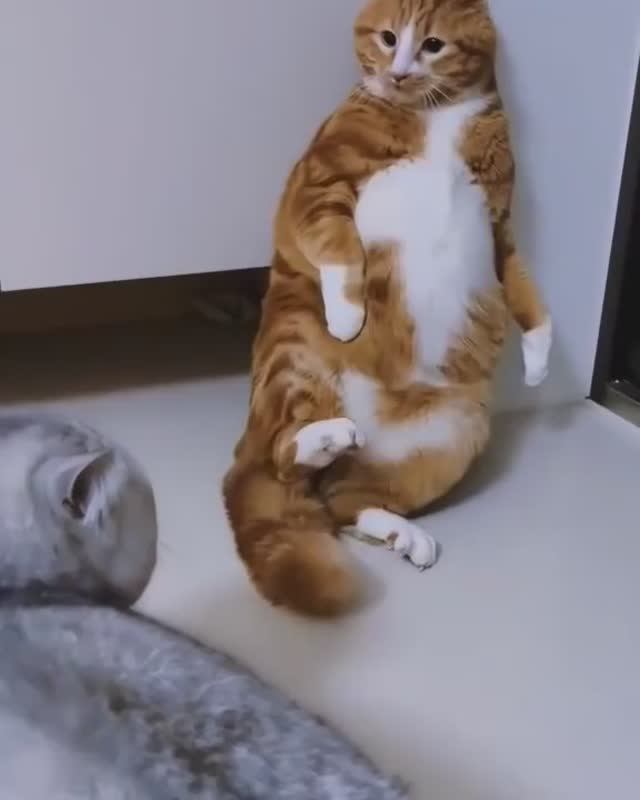 🤣 Кожаный... У всех есть такие знакомые... 🤣